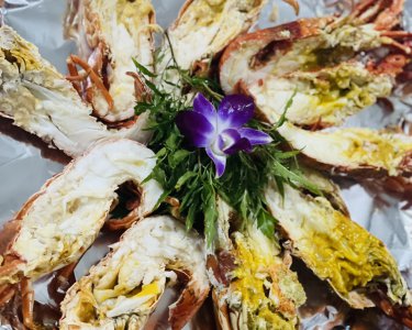 Tôm hùm xanh hấp nước dừa